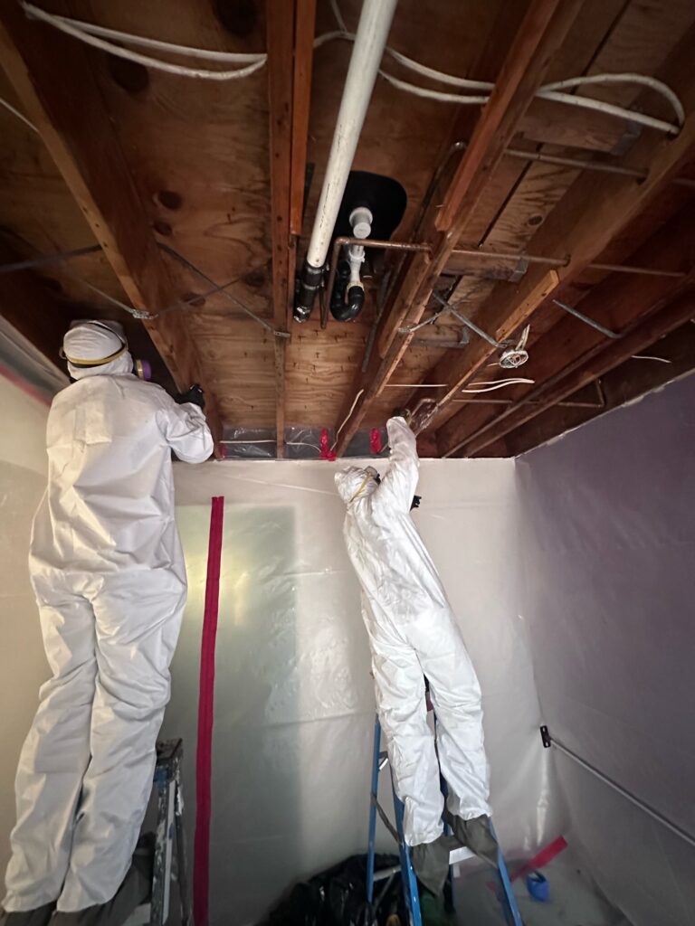 Branford Manor Mold Remediation